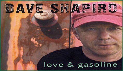 David Shapiro (musician)